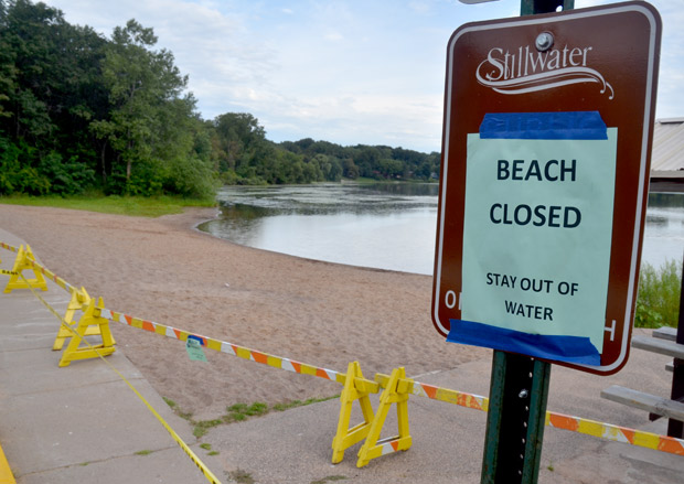 Stillwater Boy Dies After Lily Lake Swim Amoeba Suspected News