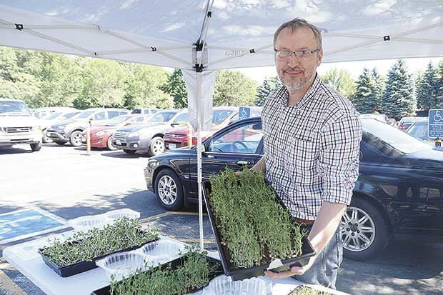 Mushrooms and microgreens