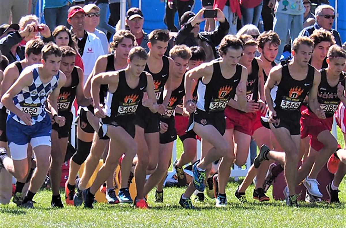 Cross country White Bear boys win huge Roy Griak Invitational Local