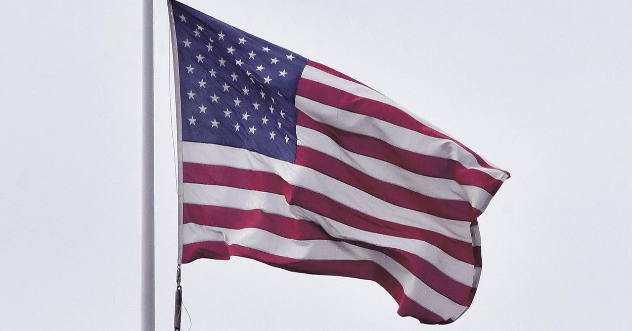 Flag facts: Did you know? - Vimarsana News