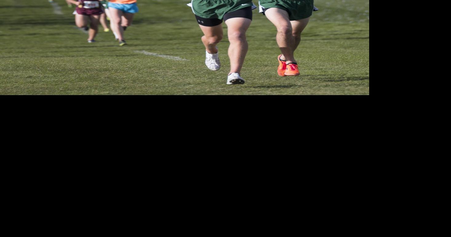 Cross country Mounds View boys dominant at conference meet Local