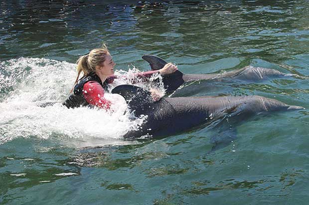 Former Lino Lakes ambassador interns with dolphins | News | presspubs.com