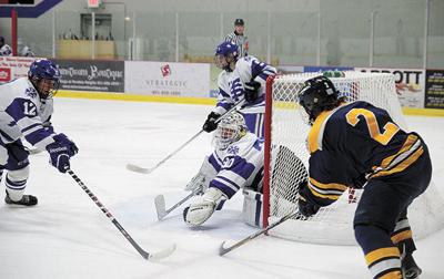 Ramsey County task force releases indoor ice rink study | News