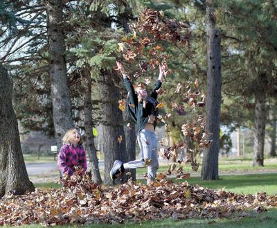 Free falling fun-seekers