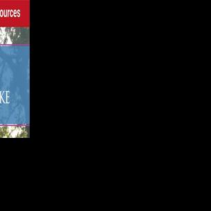 Council, police chief discuss impact of federal enforcement