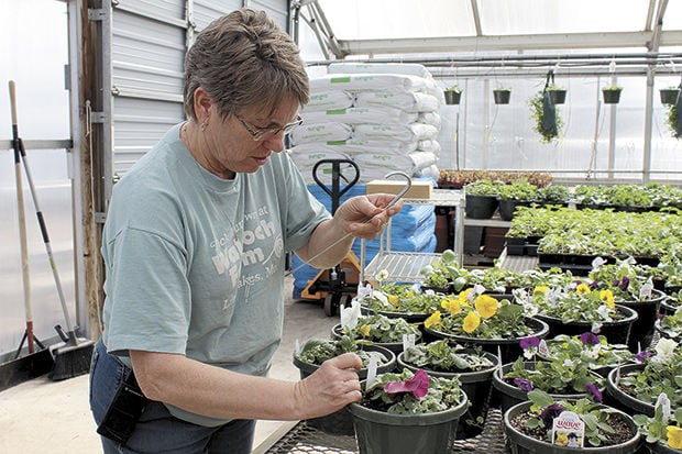 Waldoch Farm Garden Center to celebrate 100th year