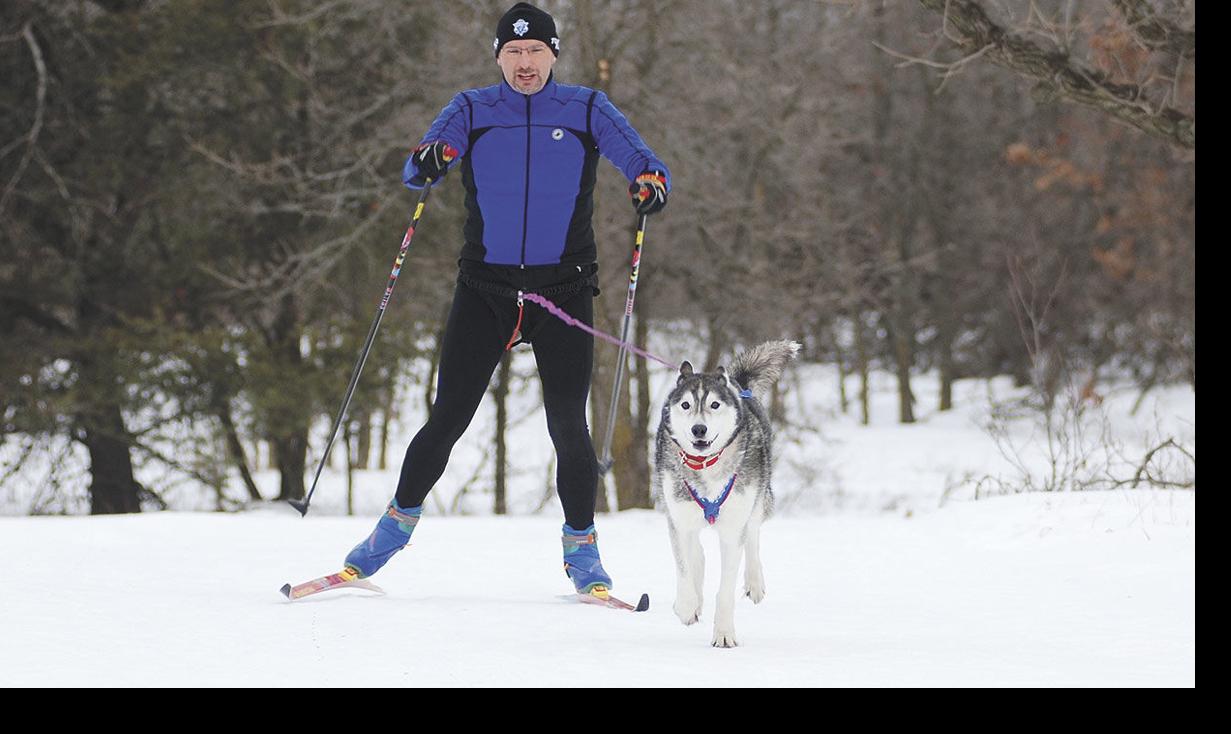 Skijoring Fights The Winter Blues News Presspubs Com