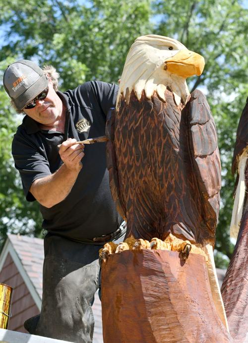 Eagles landing in downtown White Bear Lake