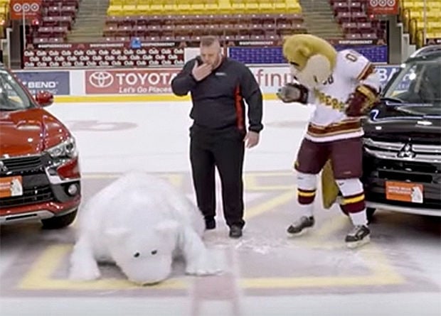 White Bear Mitsubishi >> White Bear Lake Mitsubishi Best Bear And Tiger India White Bear Mitsubishi >> White Bear Lake Mitsubishi Best Bear And Tiger India