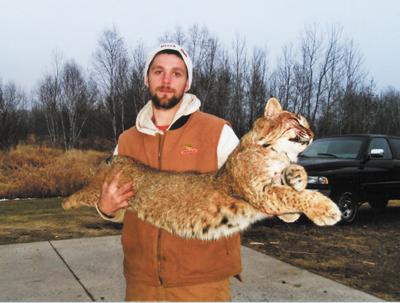 bobcat presspubs