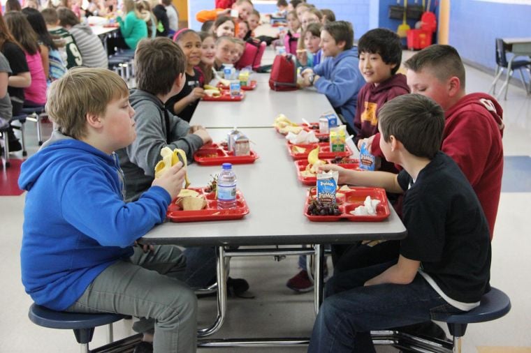 CambridgeIsanti School District provides alternative meals to students
