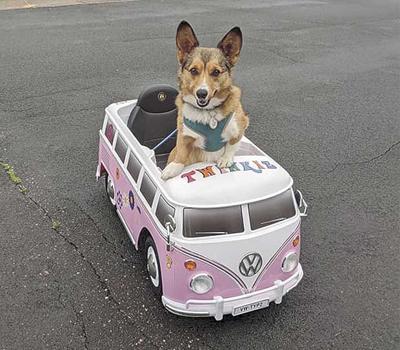 Spotted Around Town