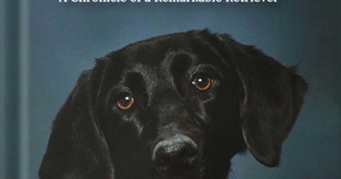 Gallery Detail: Local Author S Dog Inspires First Book News
