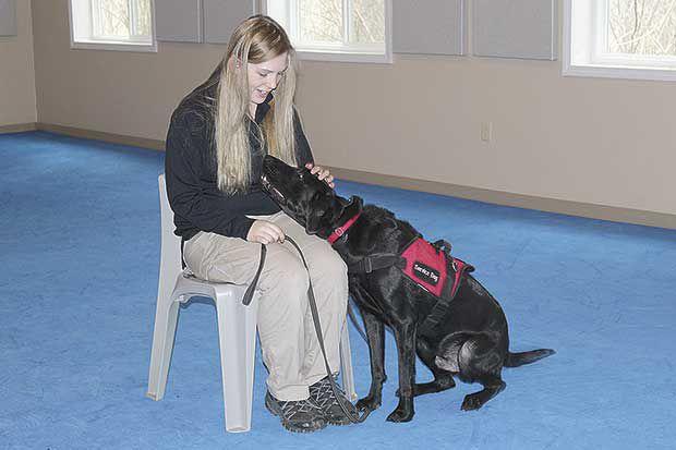 Dogs Receive Elite Training At Ivy League Boarding School News Presspubs Com