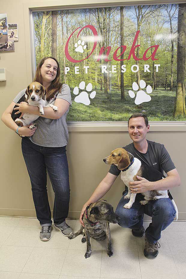 murray valley pet resort