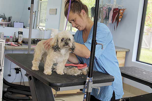New owner takes over Michele's Paw Spa 