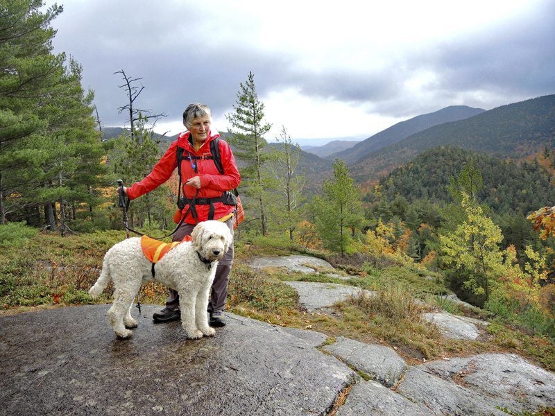 are poodles good hiking dogs