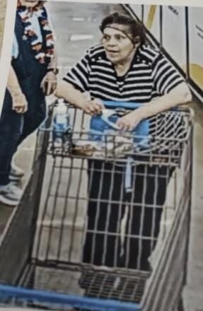 UPDATE: Missing Plattsburgh woman, dog found