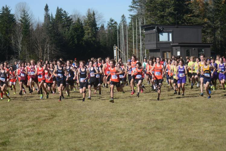 Ash, Rother take top spots at CVACs | Sports ...