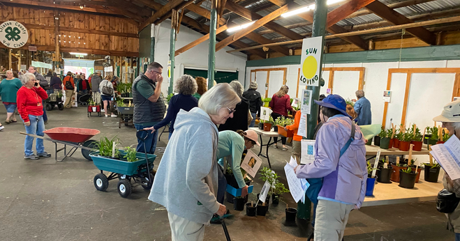 Master Gardeners' Plant Sale set for Saturday