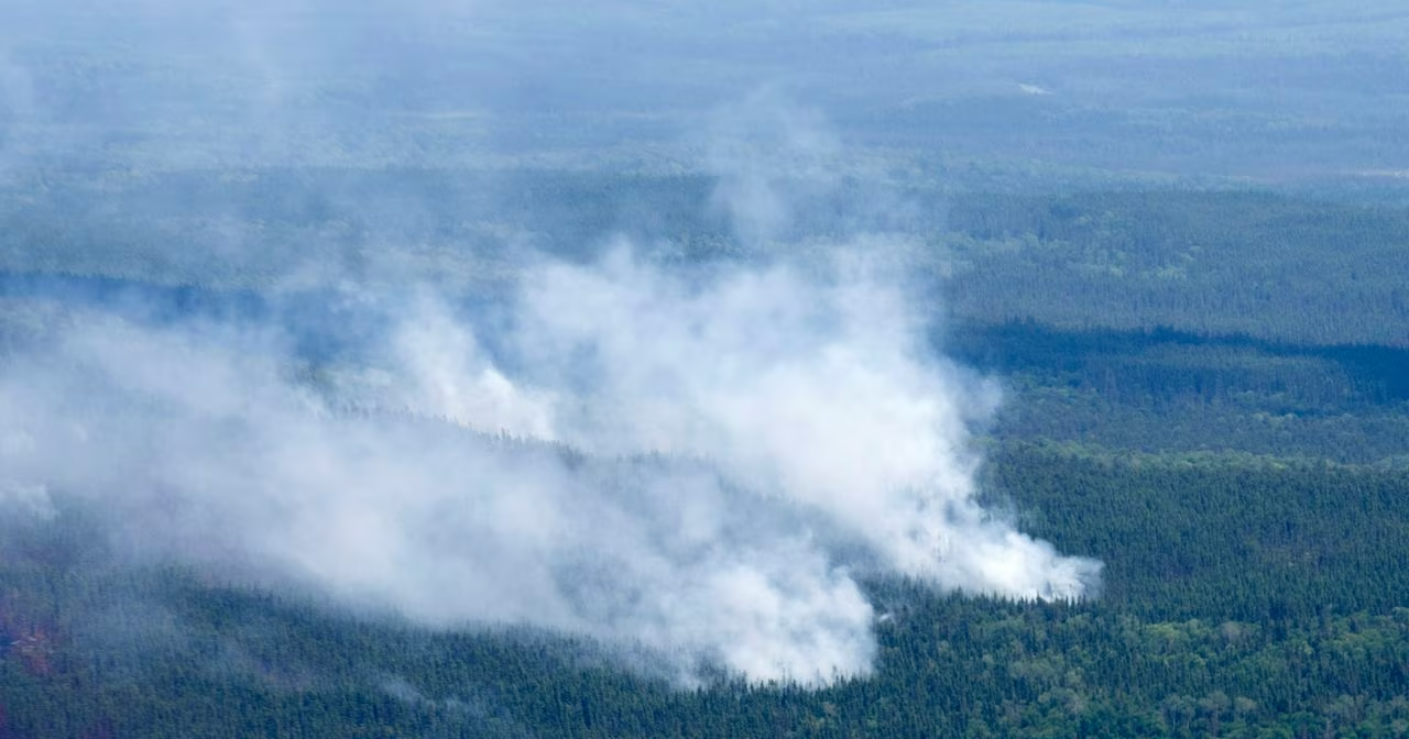Will a fear of fires burn New York? - Vimarsana News