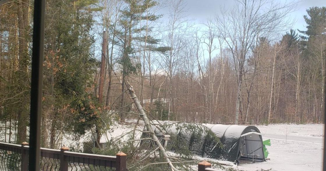 High winds bring down trees, power lines | News | pressrepublican.com
