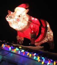 LIGHT BRIGHT: Some local homes decked out in holiday array have stories behind them