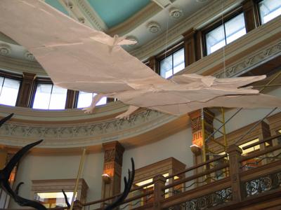 images_sizedimage_147215238