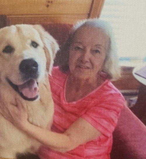 Search on for missing woman in Redford