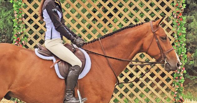 Wish Kid's equestrian wish revealed at Lake Placid Horse Show | News - Vimarsana News