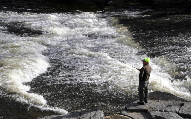 BRASS talks salmon restoration, News