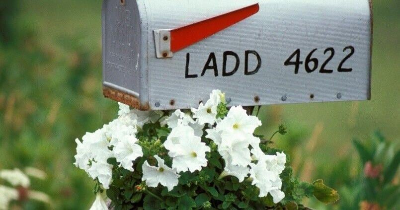 Give your mailbox a spring makeover | News | pressrepublican.com