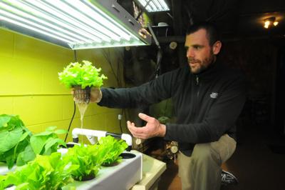 Hydroponic Business Takes Root In Plattsburgh Local News Pressrepublican Com