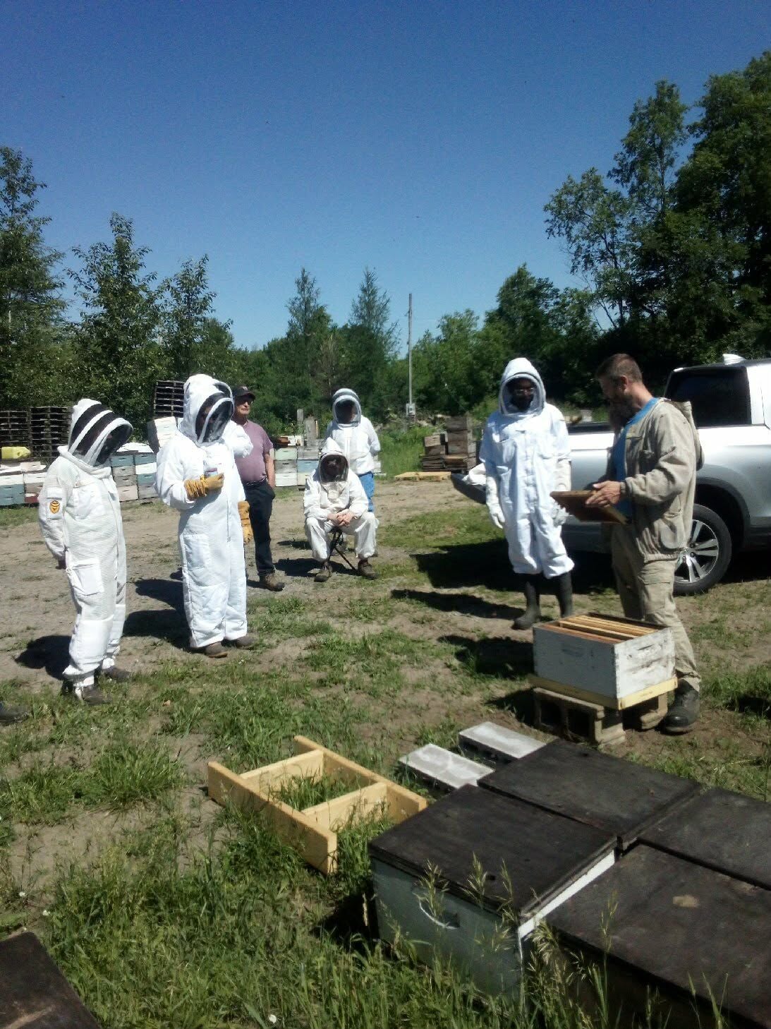 Honey product safety for beekeepers | News | pressrepublican.com