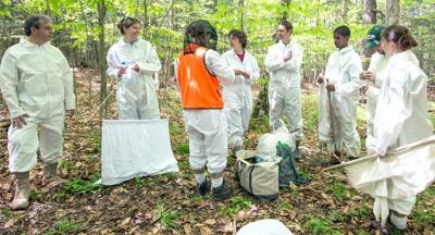 Lyme Carrying Parasites Reach Greater Heights Local News Pressrepublican Com