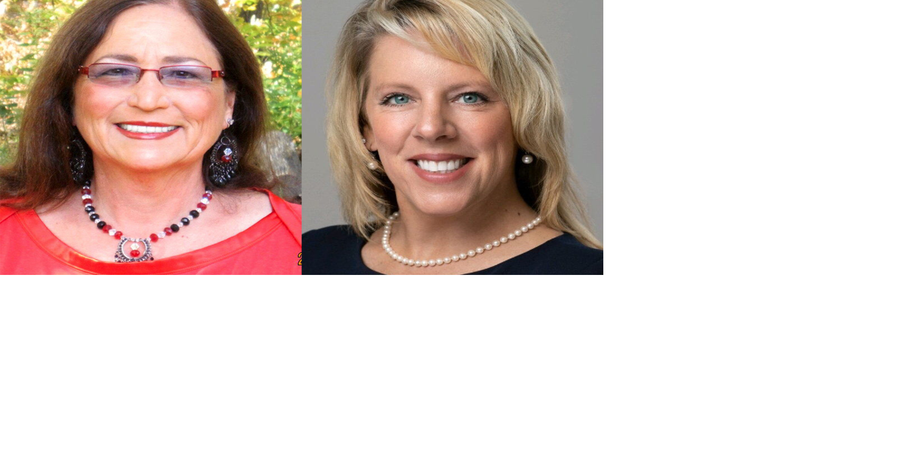 Malone mayor faces opponent in village election News