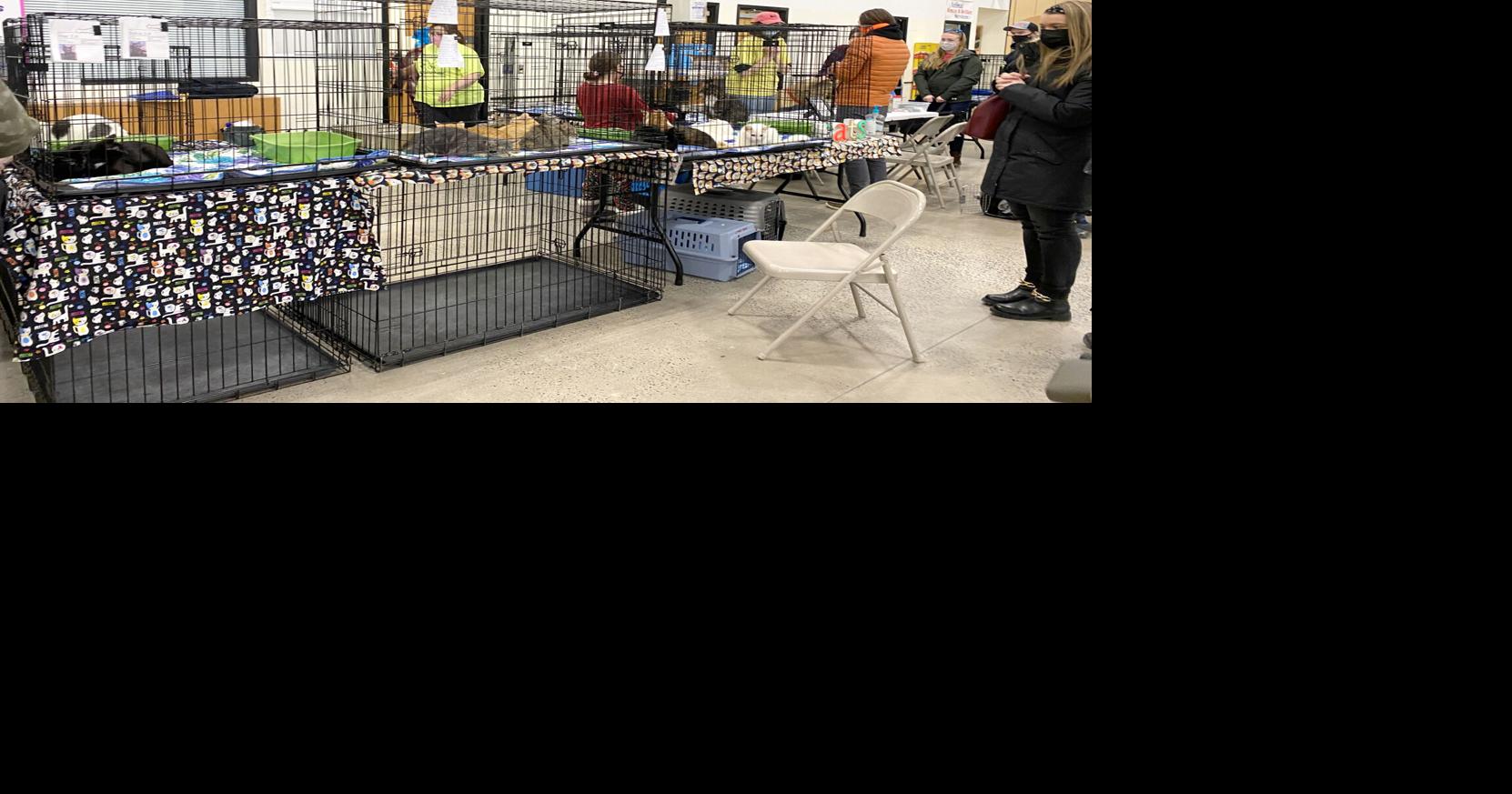 PetSmart Adoption Event - Mt. Pleasant Animal Shelter