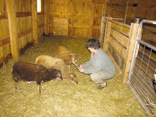 Small Farm Gets Animal Welfare Award Local News