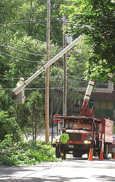 Grid tree cutting national