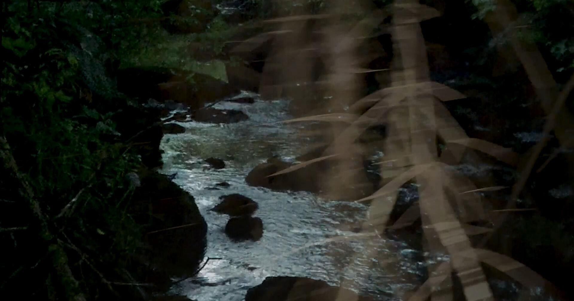 Ekphrastic flicks premiere at DAC - Vimarsana News