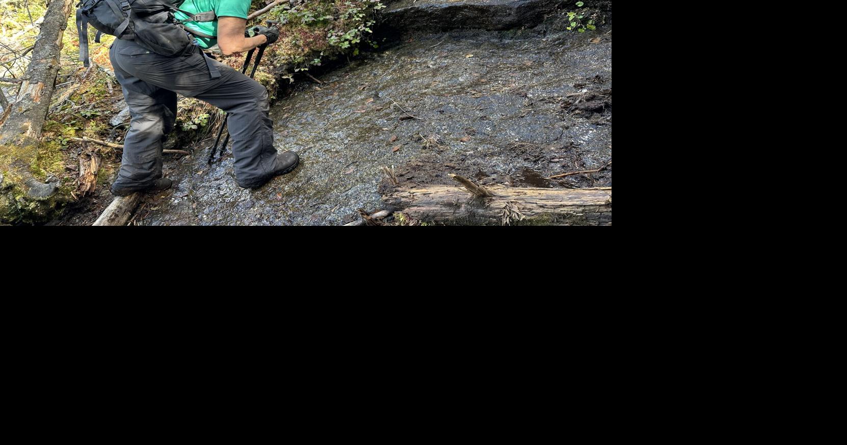 Navigating Nature: A hike to remember | Opinion | pressrepublican.com