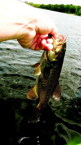 Day off offers chance for some kayak bassin', Outdoors