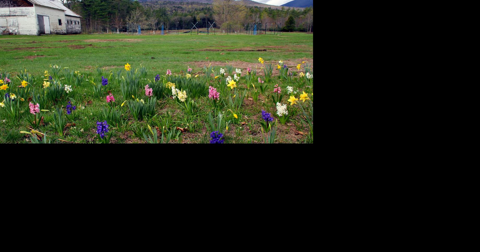Get backyard ready for spring | News | pressrepublican.com