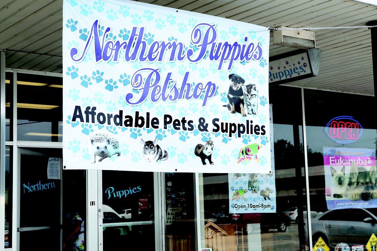 owner charged with animal cruelty Local News