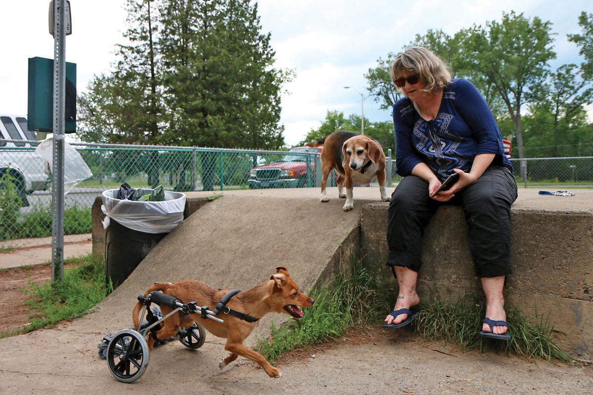 Sandy Bottom Dog Park Sandy Bottom Dog Park