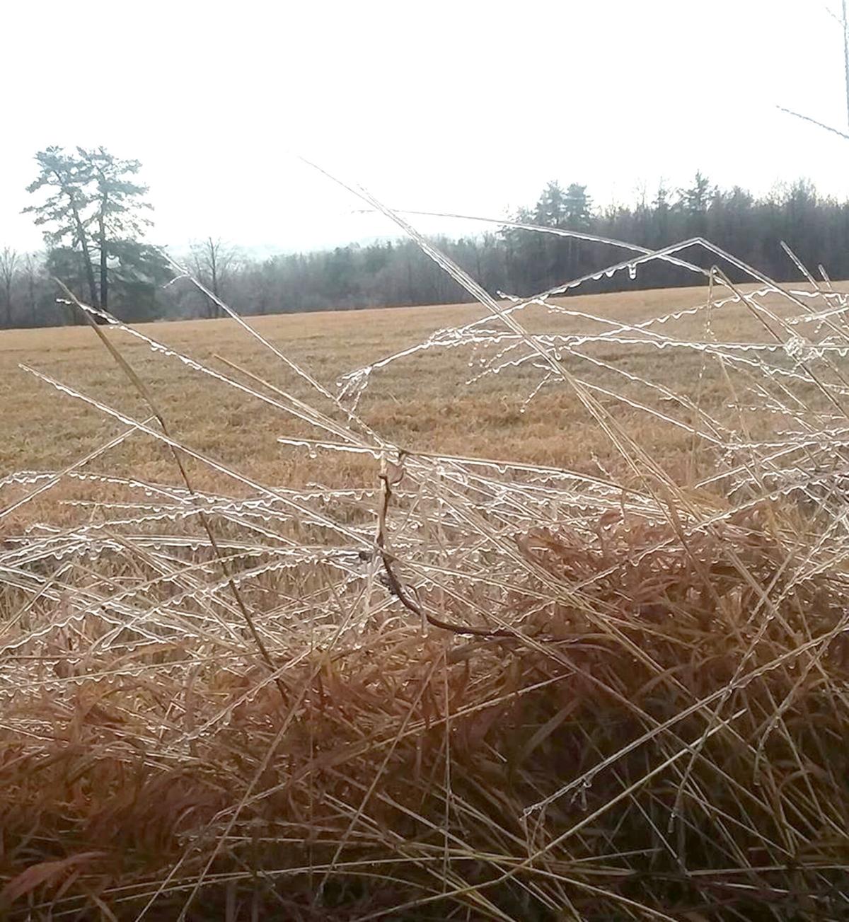 Iced Over: Aftermath of the weekend ice storm