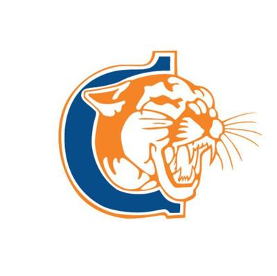 Columbia Greene Rallies Past Clinton 73 63 Local Sports