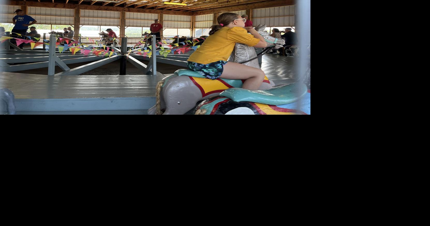 Crowds gather for Redford Picnic News