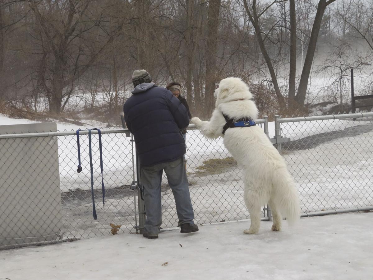 Big Fluffy Hello News Pressrepublican Com