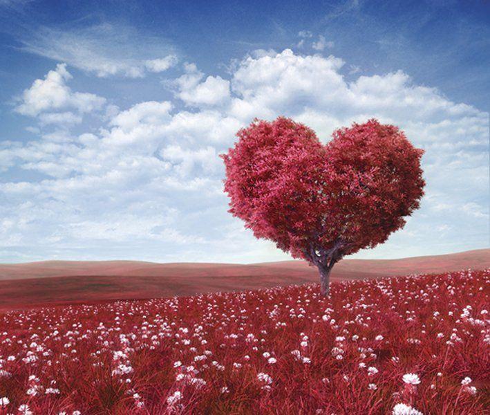 Love A Many Splendored And Confusing Thing News Pressrepublican Com